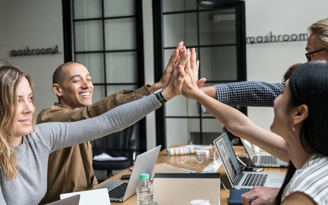 Donec vulputate ornare diam ornare dui malesuada